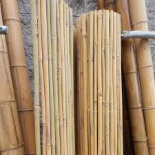 Canne bambu da arredo in vendita in arredamento e casalinghi: Stuoie Canne Bambu Da Costruzione L 300 Cm X H 250 Cm Acquista Online Su Vivaibambu Store