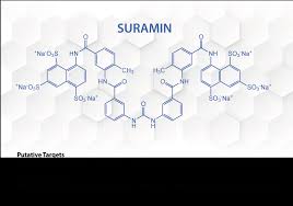 Image result for Suramin