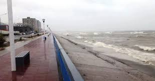 Viento