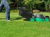 setting up accounts for lawn care and landscaping