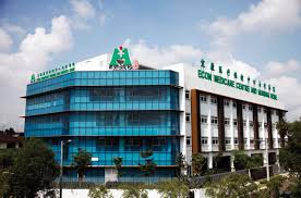 Medical tourism kuala lumpur, malaysia. Malaysia Econ Healthcare Group