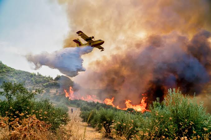 Lotta agli incendi boschivi in Puglia, la Cgil: “Servono stabilizzazioni dei precari Arif”