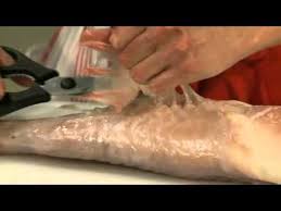 Rezepte Seeteufel Filettieren Youtube