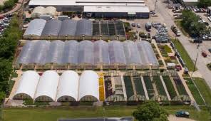 Calloway's nursery has been providing north texas with the highest quality plants and flowers for more than 30 years. Yc Nursery Rooted In Quality Growing Forward