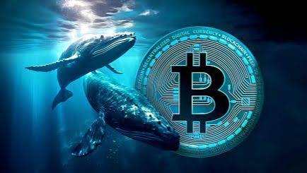 Kripto Piyasasında Son Viraj mı? 'Balinalar' Neden Alıma Geçti?