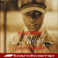 The Blue Rose-Liz Wright(CalvinSol Reworx)