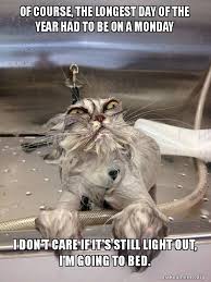 The summer solstice, otherwise known as the longest day of the year, falls today, june 21, marking the return of brighter evenings. Of Course The Longest Day Of The Year Had To Be On A Monday I Don T Care If It S Still Light Out I M Going To Bed Cat Bath Returns Make