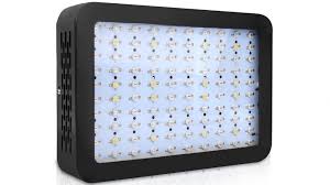 I personally have been involved in the landscape & gardening industry for almost 30 years. Buy Green Fingers 1000w Led Indoor Grow Light Harvey Norman Au