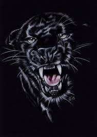 How to draw a black panther roaring. 21 Schwarze Panther Ideas In 2021 Animals Wild Wild Cats Animals Beautiful
