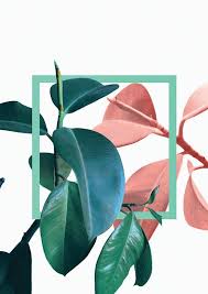 Plants Print Digital Download No Waiting For Shipping A Quick And Affordable Way To Add Beautiful New Artworks Free Wall Art Wall Art Designs Dreamy Artwork