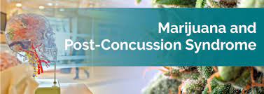 Marijuana For Post Concussion Syndrome Marijuana Doctors