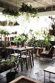 名古屋の個性的な観葉植物とガーデンデザイン グリーン インテリア インテリアガーデン ガーデン デザイン