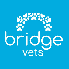 Bridge Vets