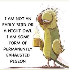 Permanently Exhausted Pigeon Permanently Exhausted Pigeon Exhausted Humor Night Owl