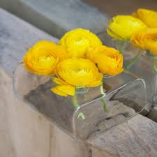 Saw something that caught your attention? Hudson 24 Hole Flute Home Decor Weddings Low Laying Elegant Centerpiece Chive Large 24 Inches Long Rectangle Unique Clear Glass Bud Flower Vase Champagne Glasses Kitchen Dining Fcteutonia05 De