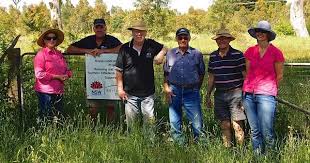 Vision beyond a farm fence