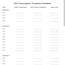A c c c c t c t. Dna Transcription Translation Worksheet Please Help Brainly Com