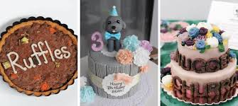 Under construction we are updating our website please bare with us. 12 Dog Bakeries To Buy Your Dog S Birthday Cake Vanillapup Blog