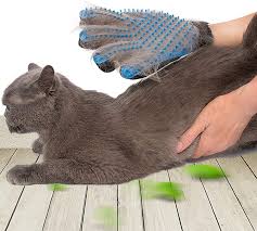 Set contains such icons as pets, dog, cat, bird, fish, hamster, mouse, rabbit, pet food, grooming. Amazon Com Ssriver Pet Grooming Glove Hair Remover Brush Gentle Deshedding Efficient Pet Mitt Pet Massage Gloves Left Right Hand Draw Dog Cat Horse Long Short Fur 1 Right Hand Blue