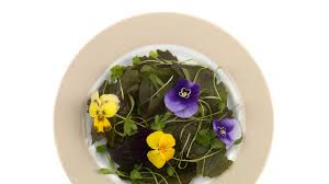 We did not find results for: 12 Edible Flowers Of India To Add To Your Pantry Conde Nast Traveller India