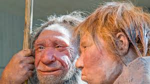 Verändert sich · veränderte sich · hat sich verändert. Artfremder Beischlaf Neandertaler Gene Machen Frauen Fruchtbar Zdfheute