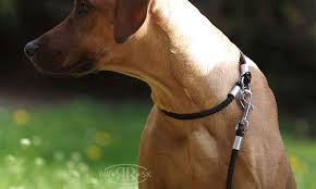 Check spelling or type a new query. How To Measure A Dog Size Of Collar Abc4dog Abc4dog