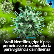 Régis - O Brasil identificou pela primeira vez o subclado K do vírus  influenza A H3N2, conhecido como gripe K. A detecção foi feita por  pesquisadores do Instituto Oswaldo Cruz, da Fiocruz,