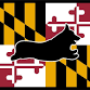 2025 Maryland Corgi Cup event image