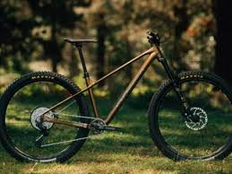 Image result for Orbea knobelii