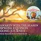 Awaken with the season - Spring Equinox Gong Journey