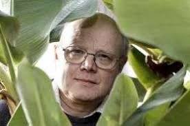 Purging the plantain pests in Africa