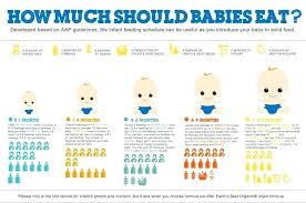 Can A 4 Month Old Eat Baby Food Karenlighting Co