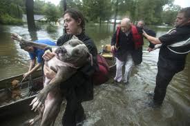 Imelda leaves 3 dead in Texas, others stranded and trapped