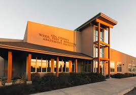 Canyon county weed & pest control is offering to help residents manage pocket gophers and other rodents by installing barn owl houses on their property. Ada County Weed Pest And Mosquito Abatement Posts Facebook