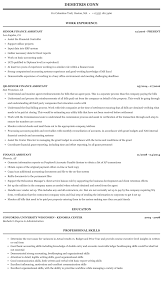 What type of companies have you. Finance Assistant Resume Sample Mintresume