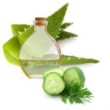 Esencia De Pepino Y Aloe Aroma Para Cremas Hidratantes Esencias Aromaticas Hacer Aceites Esenciales Pepino