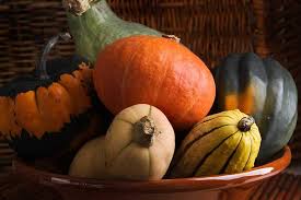 We had a delicious butternut squash soup for dinner last night. How To Plant Grow And Harvest Zucchini And Squash