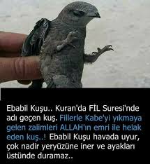 Toprak Yusuf Yildiz Adli Kullanicinin Detay Panosundaki Pin Okuma Calismasi Psikoloji Guzel Soz