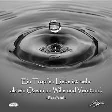 Ein Tropfen Liebe Ist Mehr Als Ein Ozean Verstand Lewis Black Lewis Black Autor Instagram Fotos Und Videos Unterschatze Niemals Was Die Liebe Zu Schaffen Vermag Liebe Instagram Niemals