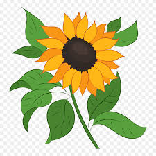 Free Free 150 Clipart Sunflower Png SVG PNG EPS DXF File