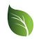 Sage Hospice, Primary and Palliative Care logo