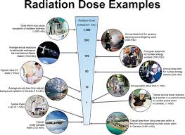 Just The Facts Radiation Cell Phones Wi Fi And Cancer