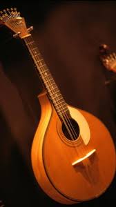 Image result for Fadogiella