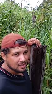 Reel by Cicero Serafim (@ciceroserafim90) · January 19, 2026