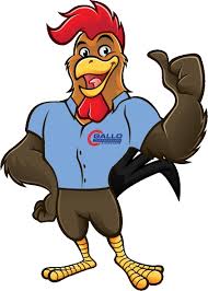 Gallo in xavier varela barreiro. Transmission Repair Tucson Gallo Transmission Auto Care