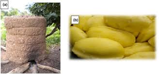 Image result for Pentadesma