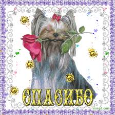 Картинки по запросу картинки анимация мультяшная собачка