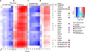 2048 x 2048 png 4743 кб. Dynamic Responses To Silicon In Thalasiossira Pseudonana Identification Characterisation And Classification Of Signature Genes And Their Corresponding Protein Motifs Scientific Reports