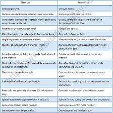 Plant cell and animal cell notes pdf. Neet Biology Cell The Unit Of Life Revision Notes Concepts For Cell Cycle Revision Notes