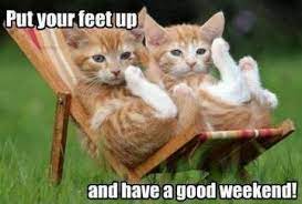 Have A Good Weekend Funny Weekend Meme Funny Animals Cats Cute Cats